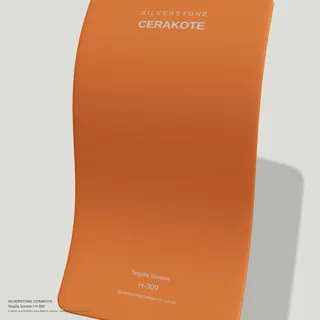 Tequila Sunrise H-309
